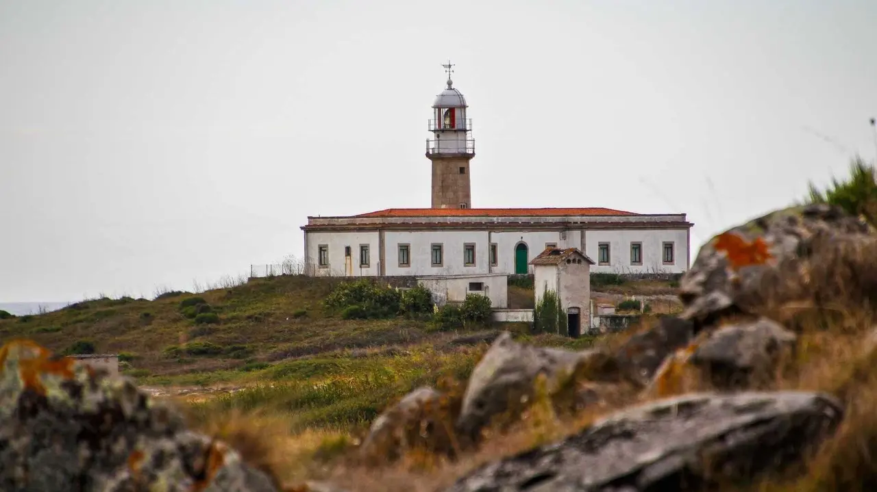 lari&ntilde;o shutterstock_2473083345