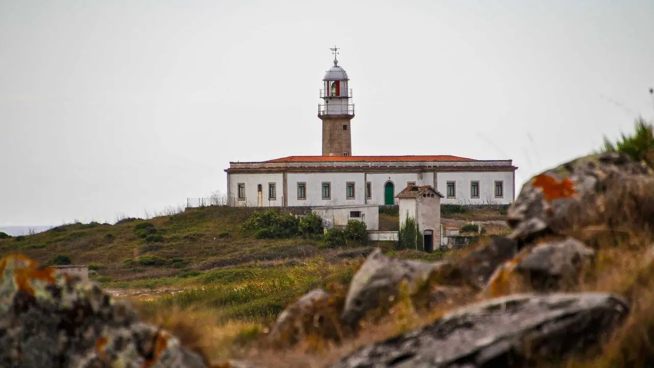 lari&ntilde;o shutterstock_2473083345