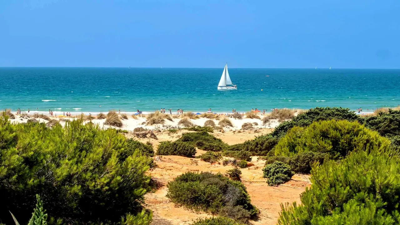 Plage de la Barrosa &agrave; Cadix. | Shutterstock