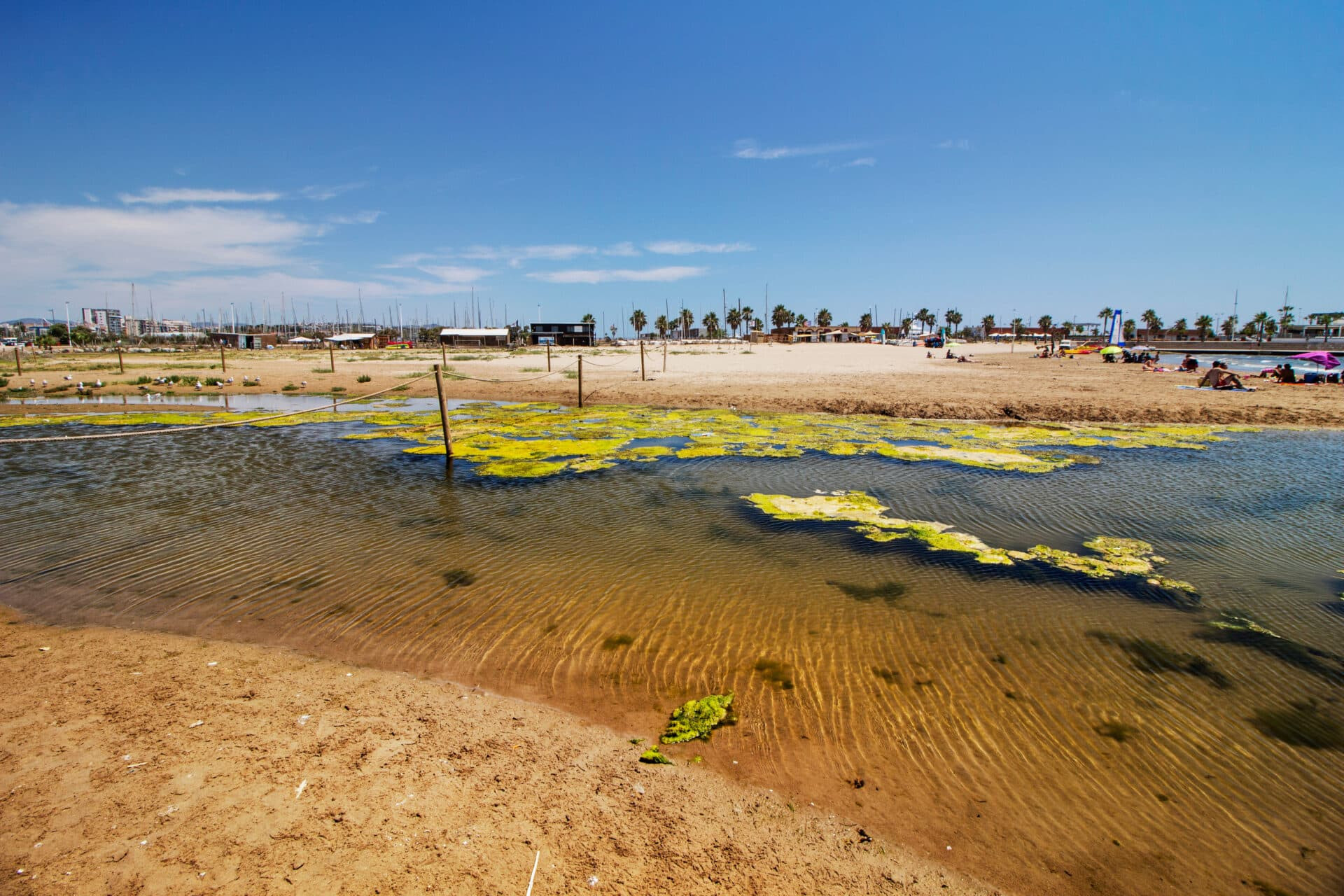 Plage de Ribes Roges à Vilanova i la Geltrú