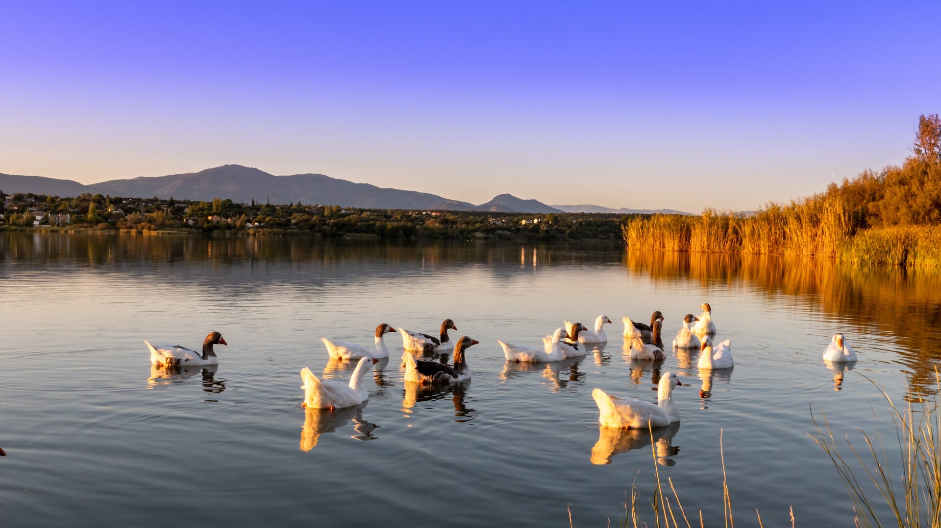 Réservoir de Cazalegas