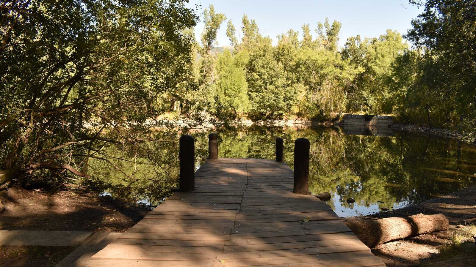 Forêt finlandaise. | Shutterstock