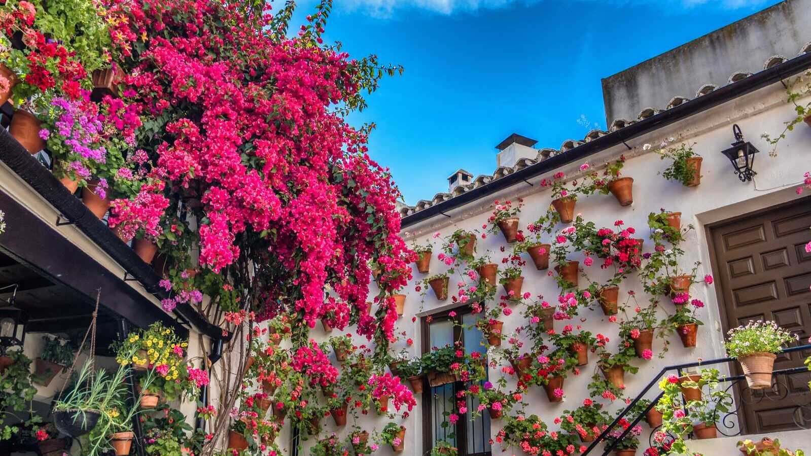 L'un des patios les plus célèbres de Cordoue. | Shutterstock