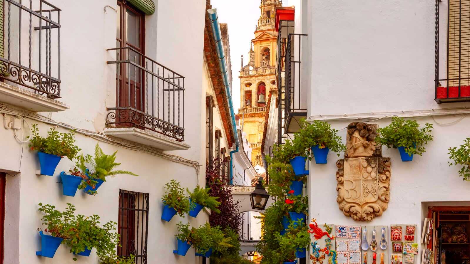 Ruelle de Las Flores. | Shutterstock