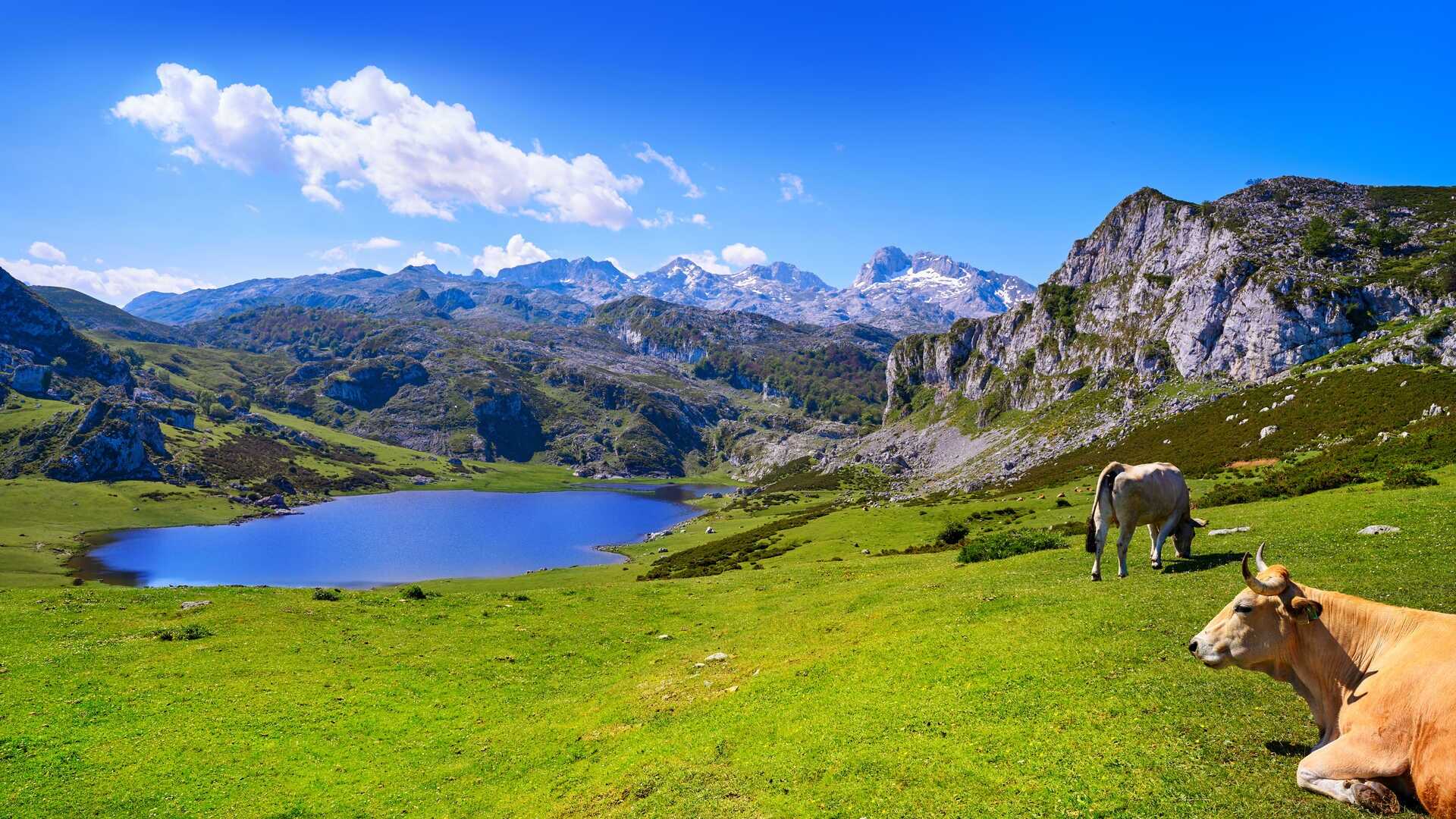 Lacs de Covadonga, dans les Asturies. | Dreamstime