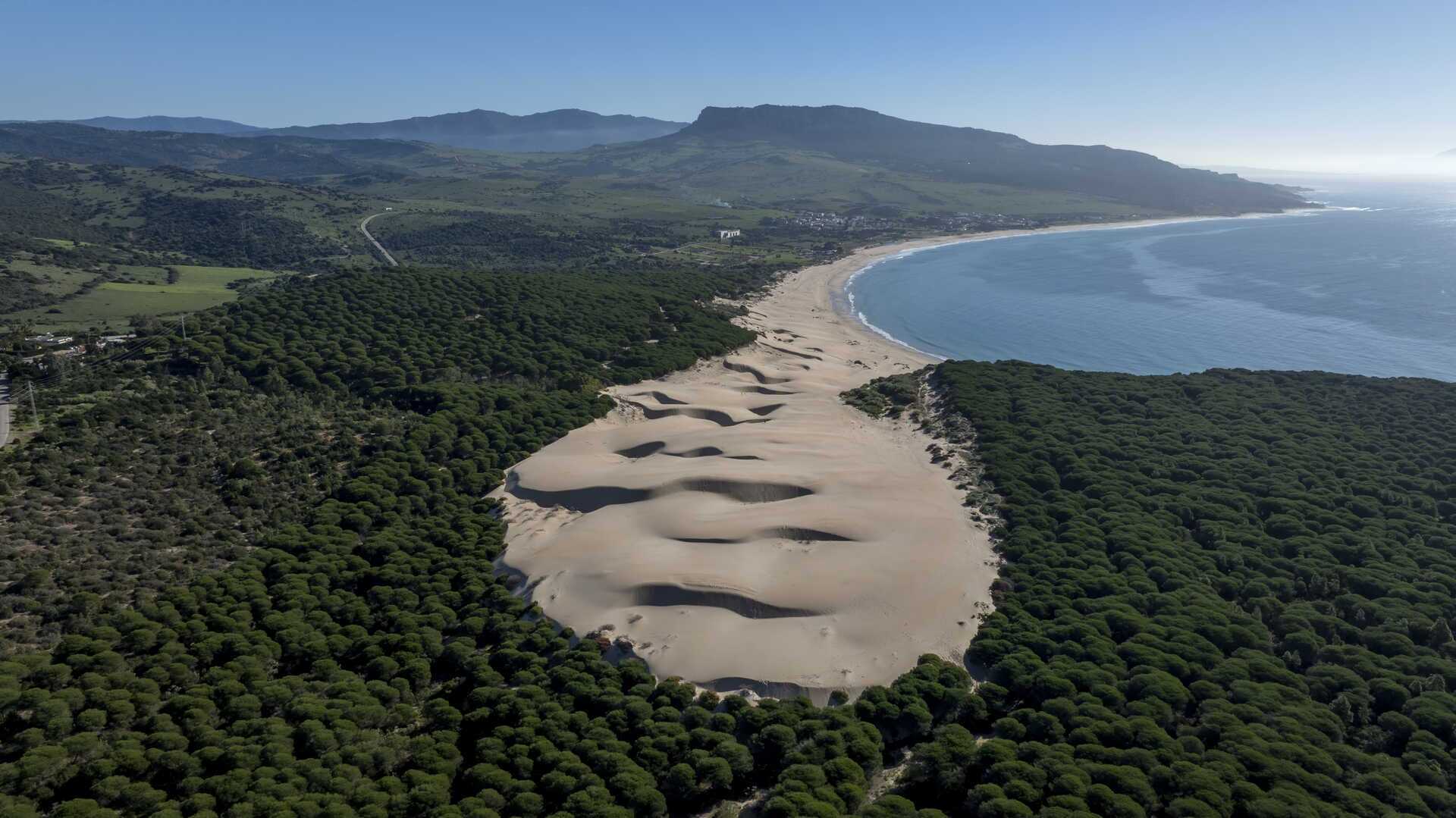 Vue aérienne de la plage de Bolonia, dans la province de Cadix. | Dreamstime