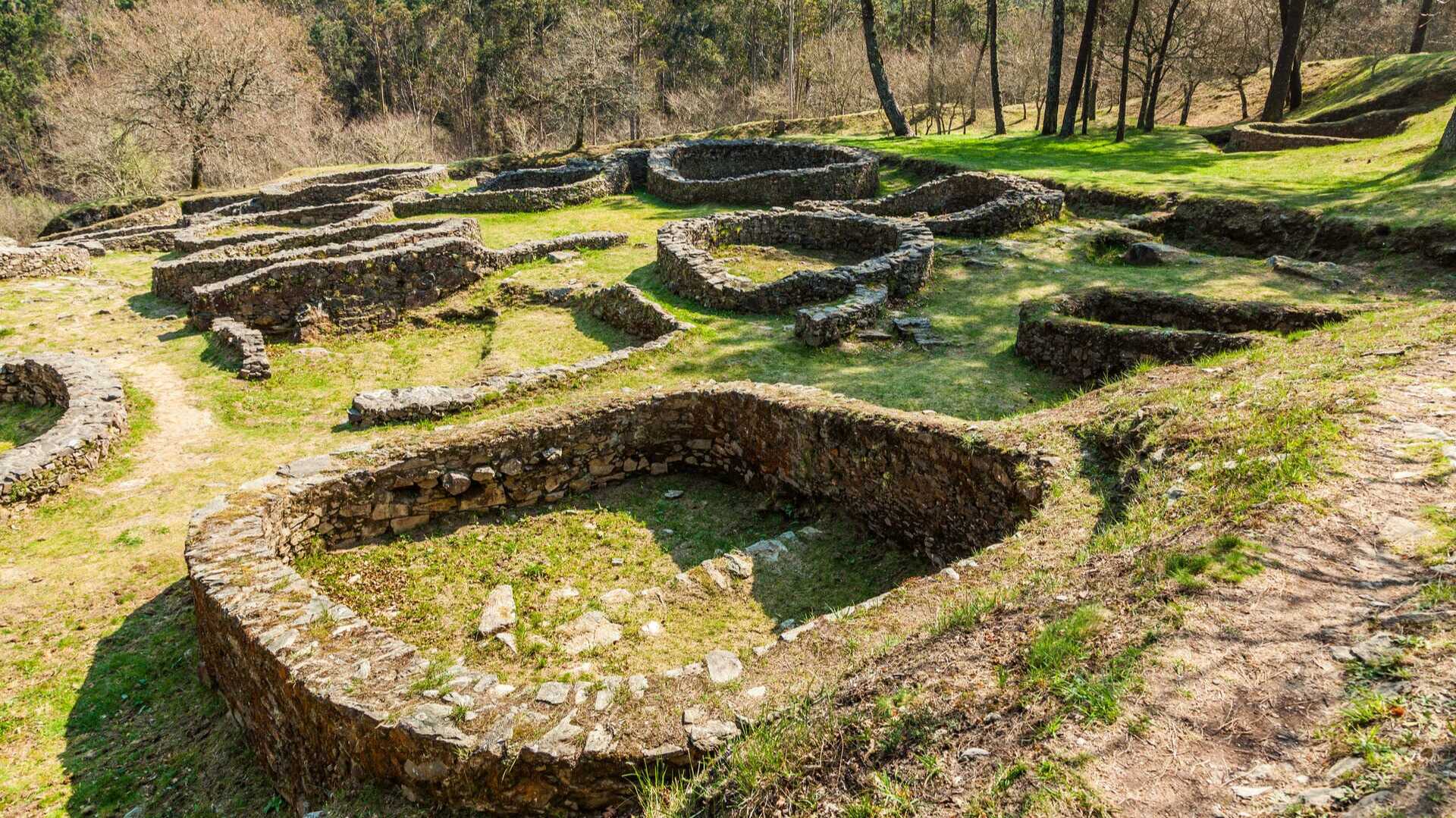 borneiro dreamstime_l_73586573