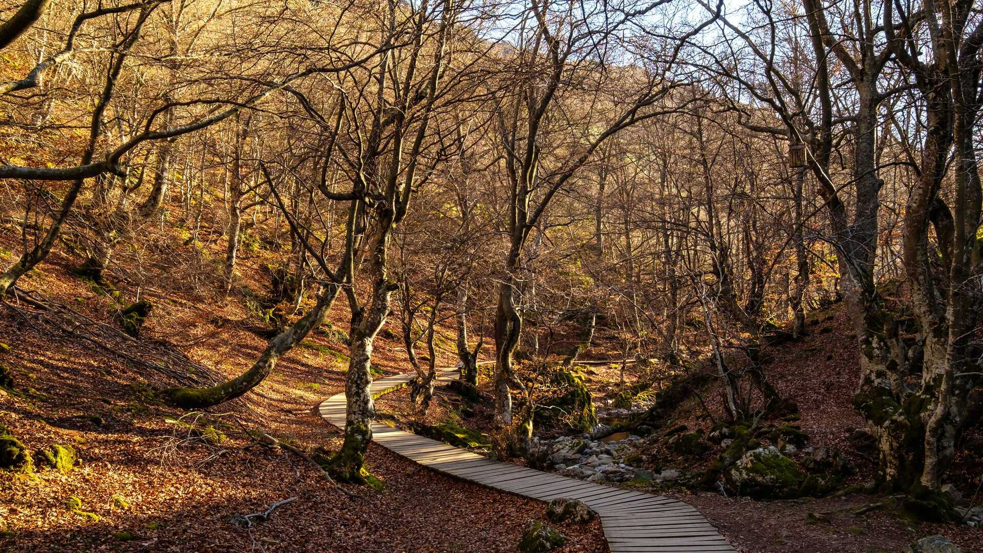 Faedo de Ciñera, León. | Dreamstime