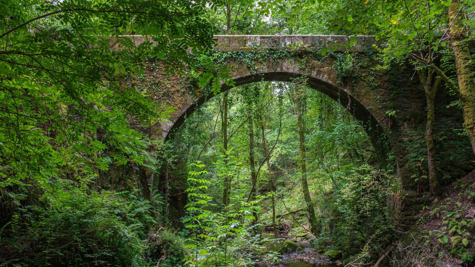 Fragas do Eume. | Dreamstime