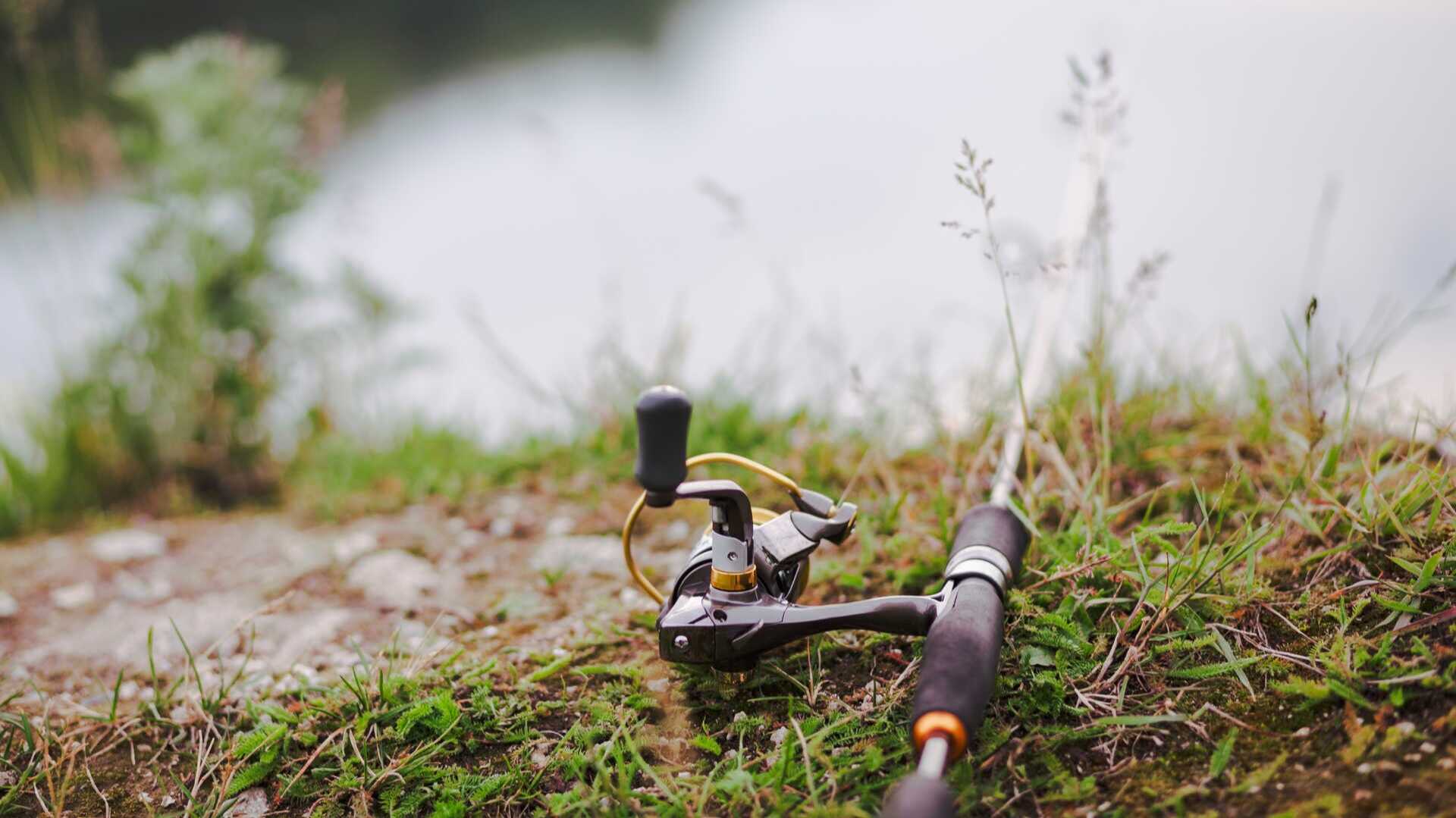 fishing-rod-green-grass