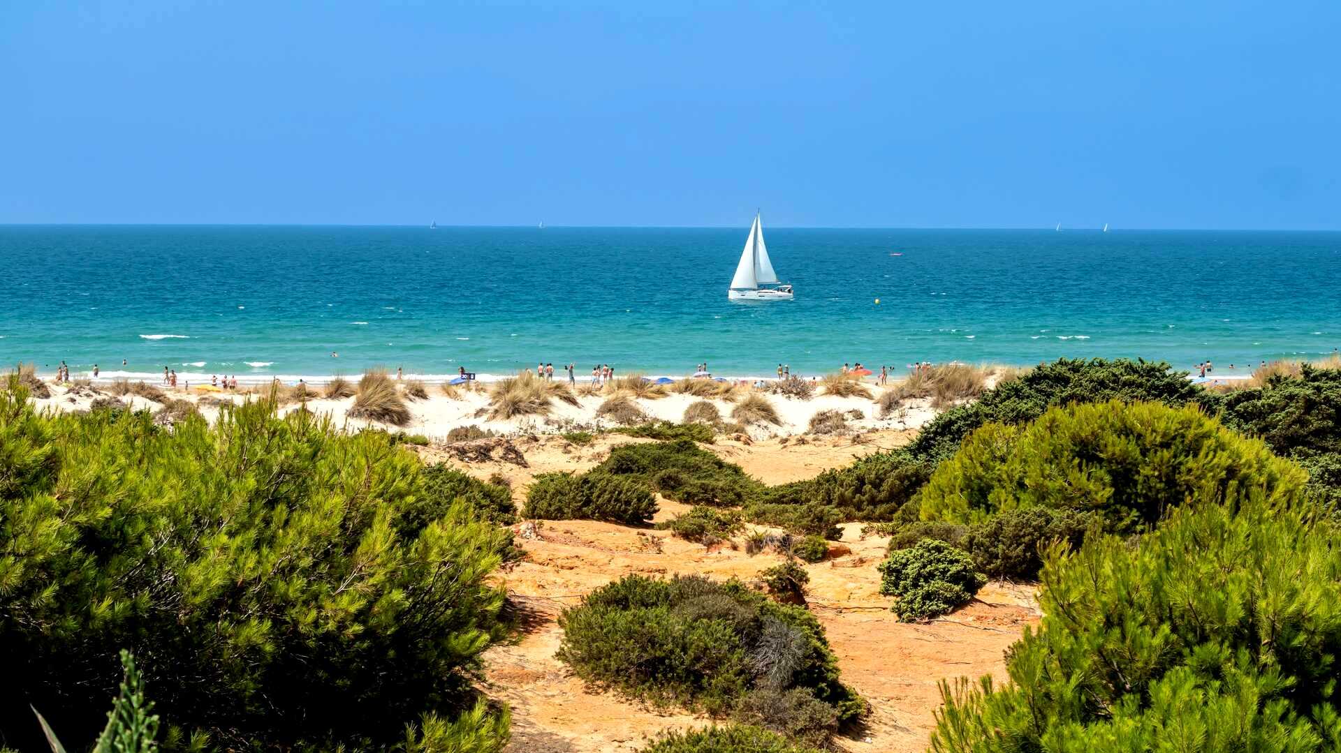 Plage de la Barrosa à Cadix. | Shutterstock